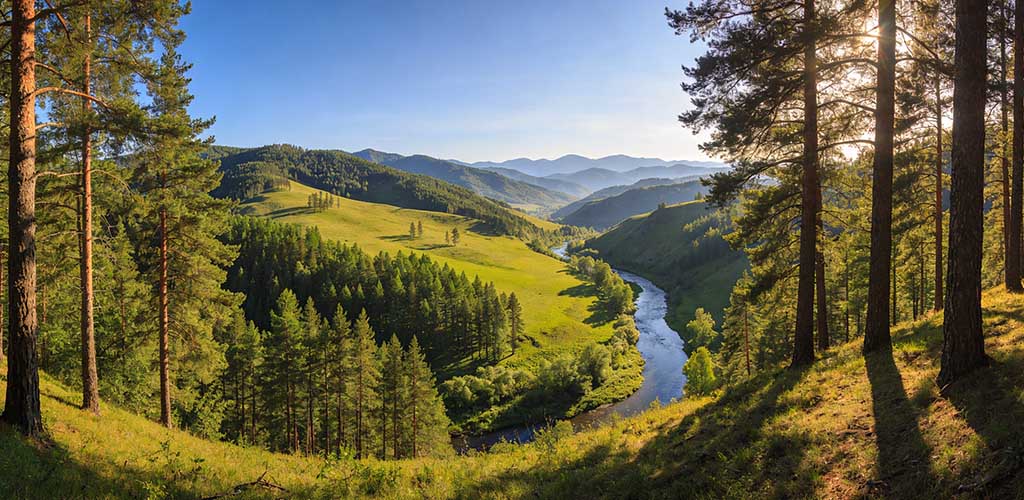 Железногорск